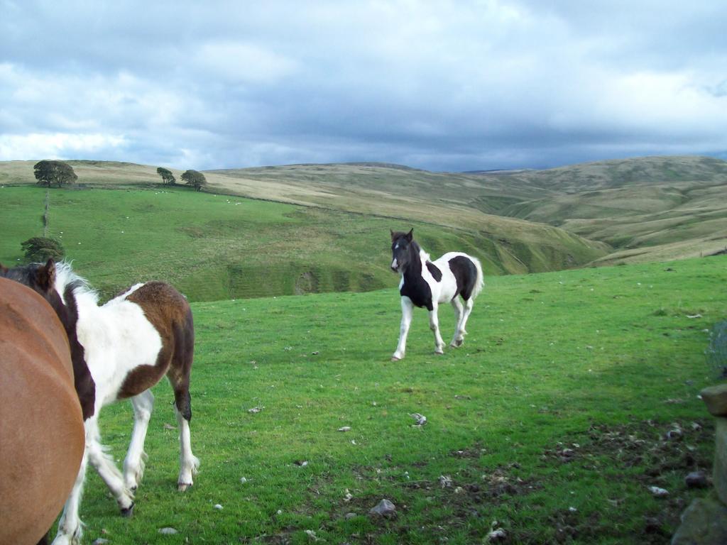 The Old School B&B Tebay (Cumbria) Quarto foto